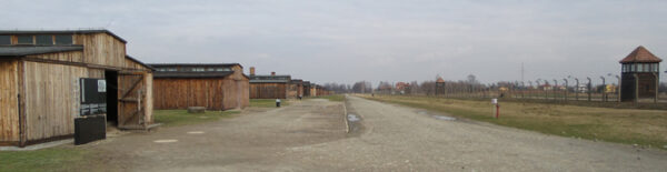 Wooden Barracks at Birkenau @ Shelly Palmer