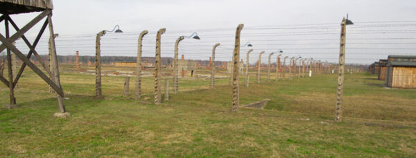 Ruins of the Wooden Barracks at Birkenau @ Shelly Palmer