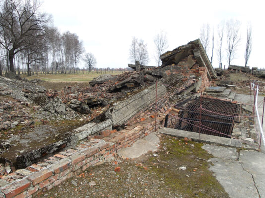 The ruins of one of Birkenau’s Gas Chambers © Shelly Palmer
