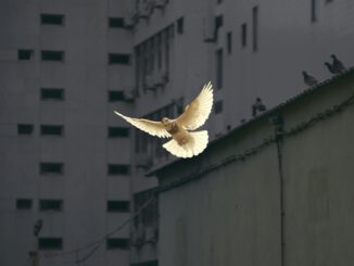 © Sunguk Kim @ unsplash.com